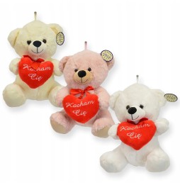 Teddy Bear with Heart 30 cm - Pink Plush Toy