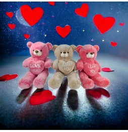 Beige Love Bear with Heart for Valentine's Day