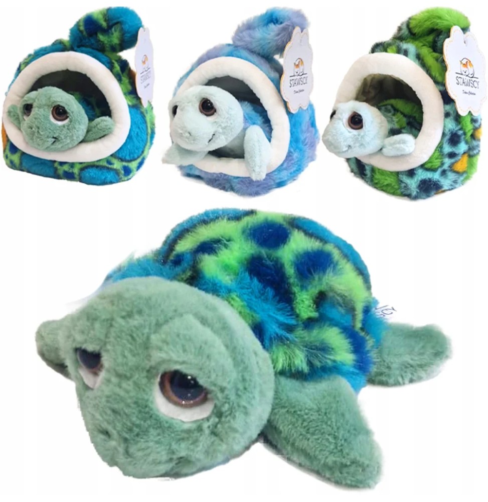 Plush Turtle Nemo in House