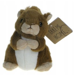 Fluffy Squirrel Plush Toy