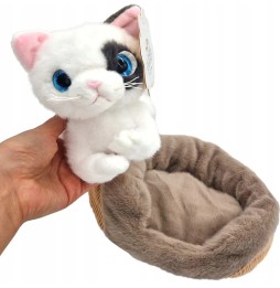 Plush Kitten on Pillow