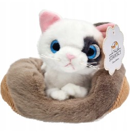 Plush Kitten on Pillow