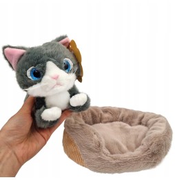 Gray Plush Kitten on Pillow