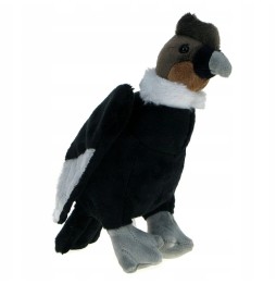 Plush Condor Bird 22cm Stuffed Animal