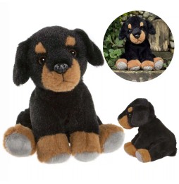 Charlie Bears Mascotă câine 13 cm