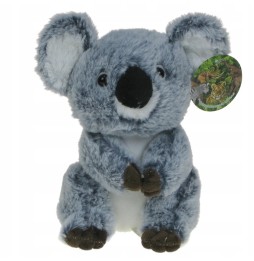 Maskotka miś koala 22 cm od Lamps