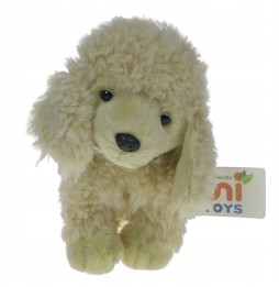 Poodle Plush Toy 24/30cm Uni-Toys