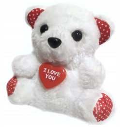 Small Plush Teddy Bear with Heart