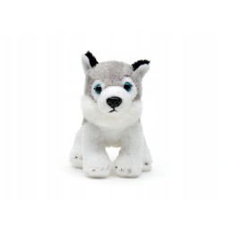 Pluszowy pies husky 15cm od Uni Toys