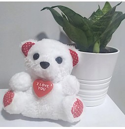 Small Plush Teddy Bear with Heart