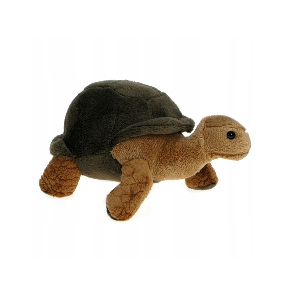 20cm Plush Land Turtle from Plush ZOO