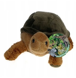 20cm Plush Land Turtle from Plush ZOO