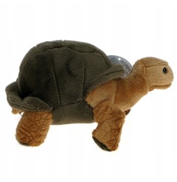 20cm Plush Land Turtle from Plush ZOO