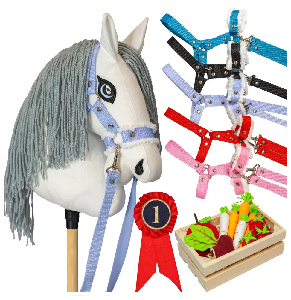 Cai Hobby Horse Alb Set pentru Copii