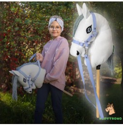 Cai Hobby Horse Alb Set pentru Copii