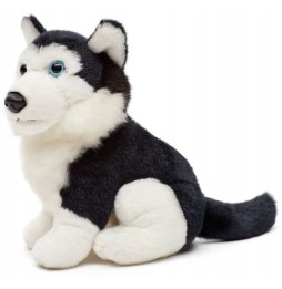 Maskotka piesek husky 16 cm Uni-Toys