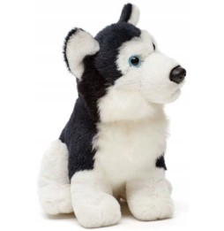 Maskotka piesek husky 16 cm Uni-Toys