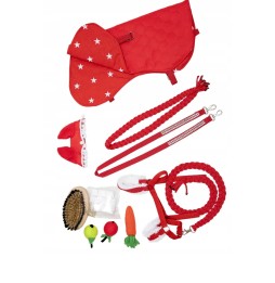 Accessory Set for Hobby Horse A4