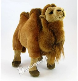 Eco-Friendly Plush Camel Toy 28 cm