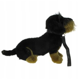 Plush Dachshund Dog 34cm Uni-Toys