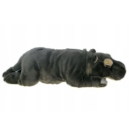 30cm Plush Hippopotamus from Plush ZOO