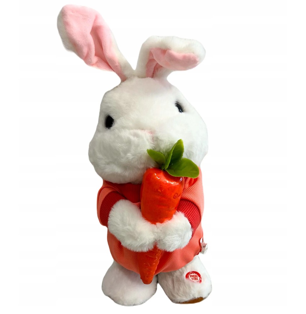 Interactive Bunny with Carrot - Toy for Kids