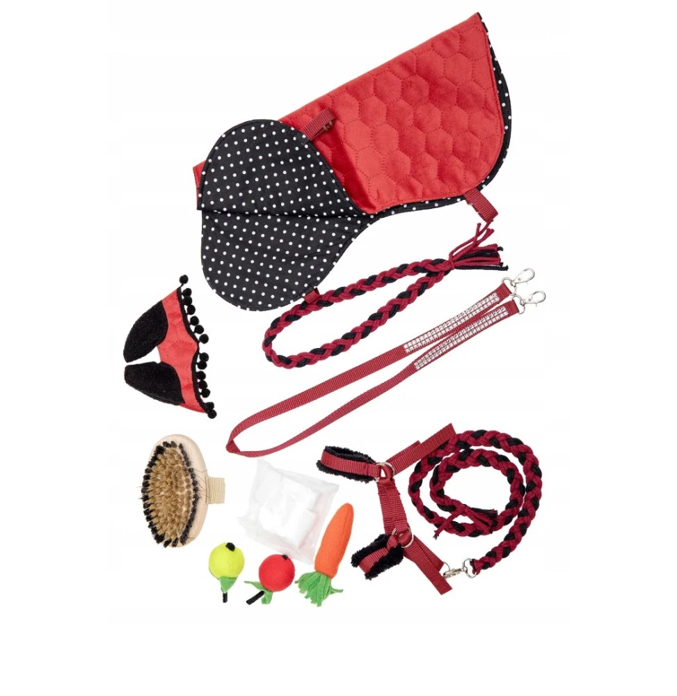 Set accesorii hobby horse A4 - 11 piese