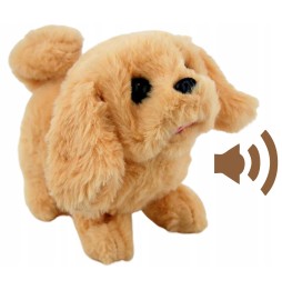 Interactive Dog on a Leash