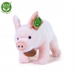 Rappa Plush Pig 15 cm