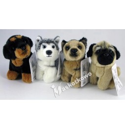 Mini Plush Husky Dog 12cm