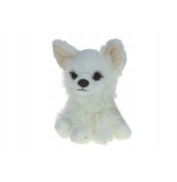 Biała maskotka pies Chihuahua 16cm Uni-Toys