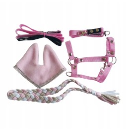 A4 Set Earmuffs and Halter - 5 Accessories