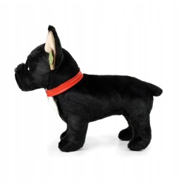 Maskotka buldog francuski Eco Friendly 30 cm