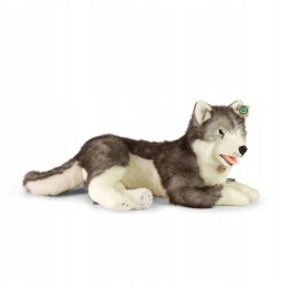 Duża maskotka pies husky 65 cm