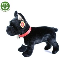 Maskotka buldog francuski Eco Friendly 30 cm