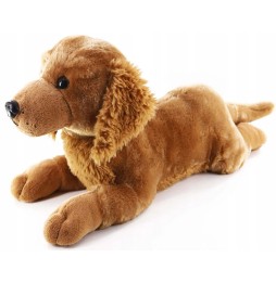 Plush Golden Retriever Dog 60 cm