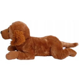 Plush Golden Retriever Dog 60 cm