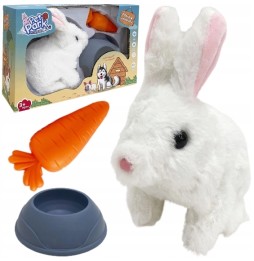 Interactive Rabbit for Kids 3+