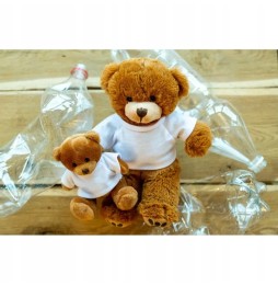 RPET Nicky Brown Junior Plush Bear