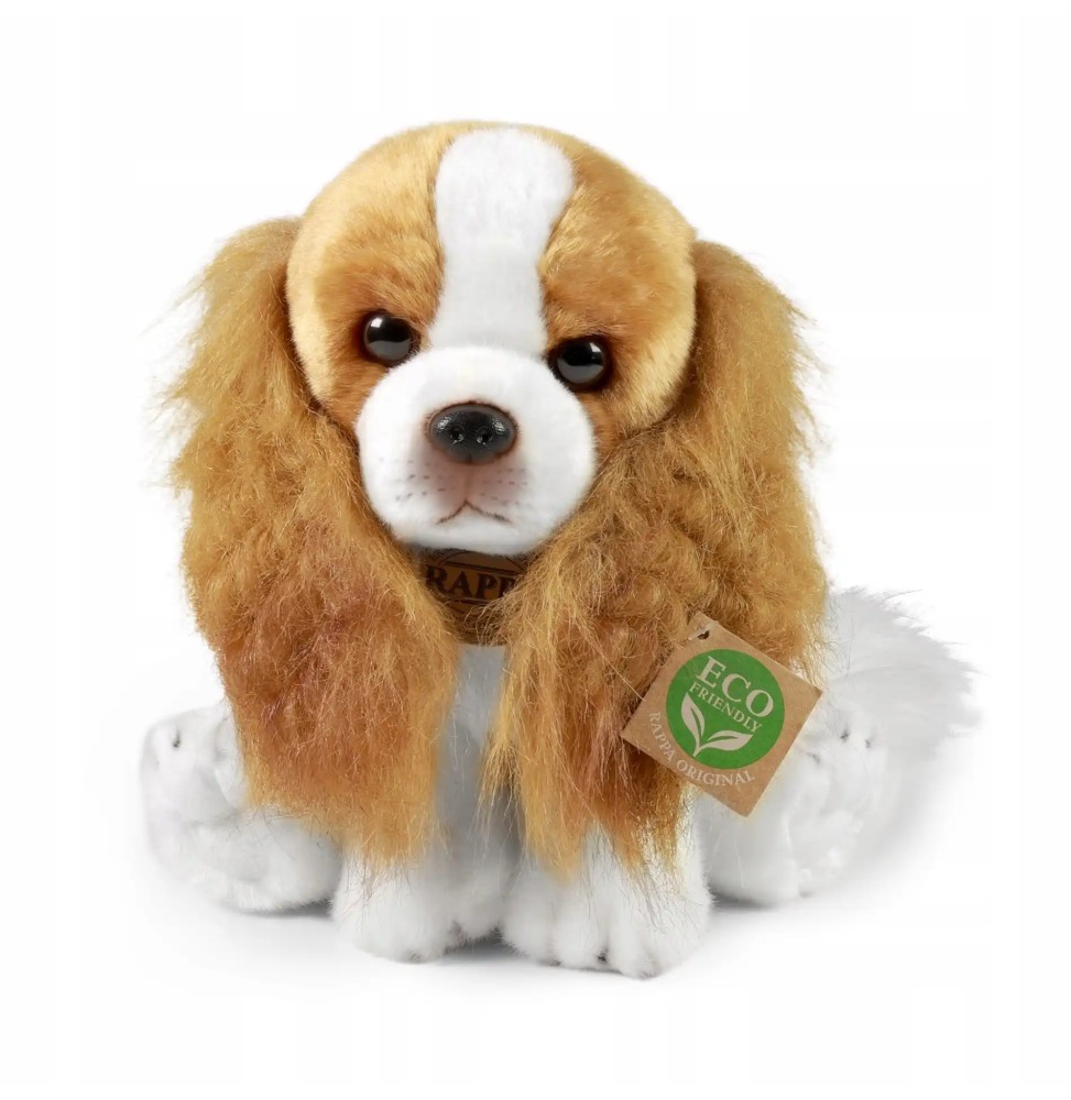 Maskotka Cavalier King Charles Spaniel 28 cm