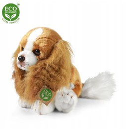 Maskotka Cavalier King Charles Spaniel 28 cm