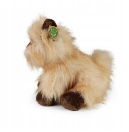 Eco Plush Dog 30 cm Rappa