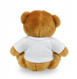 RPET Nicky Brown Junior Plush Bear