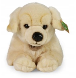 Rappa Golden Retriever leżący 39 cm