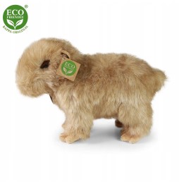 30cm Capybara Plush - Eco-Friendly Toy