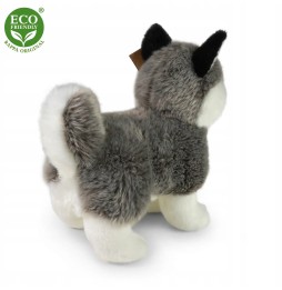 Husky Plush Toy 23cm Rappa