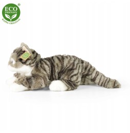 Szary Tabby kotek maskotka 45 cm