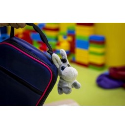 Plush Donkey Keychain with T-Shirt