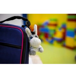 Plush Donkey Keychain with T-Shirt