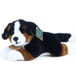 Mascota ciobănesc bernese 25 cm